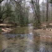 Review photo of Sipsey Wilderness Backcountry Site (Trail 207 Site B) by Asher K., May 23, 2019