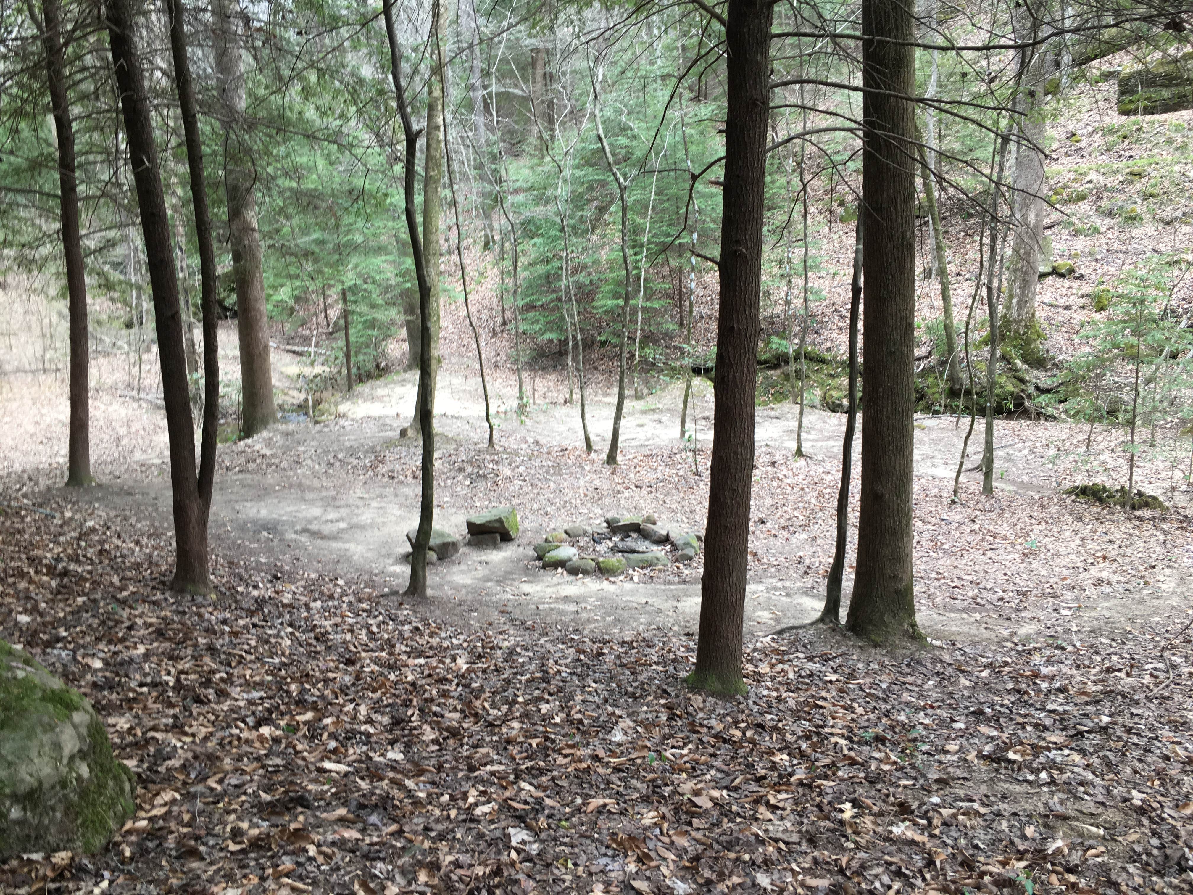 Camper-submitted photo at Sipsey Wilderness Backcountry Site (Trail 207 Site B) near Warrior, AL