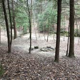 Review photo of Sipsey Wilderness Backcountry Site (Trail 207 Site B) by Asher K., May 23, 2019