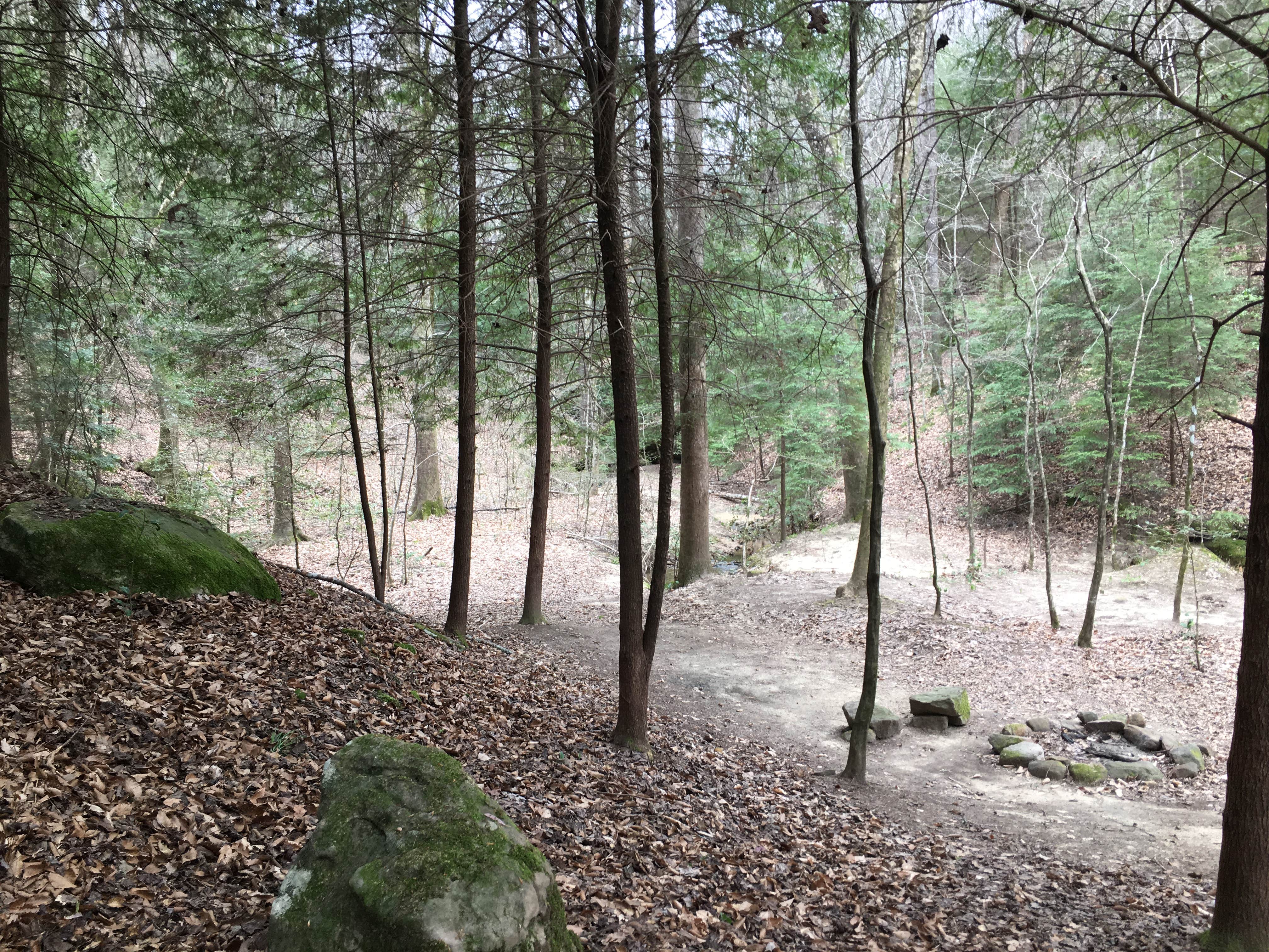 Camper-submitted photo at Sipsey Wilderness Backcountry Site (Trail 207 Site B) near Warrior, AL