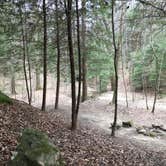 Review photo of Sipsey Wilderness Backcountry Site (Trail 207 Site B) by Asher K., May 23, 2019