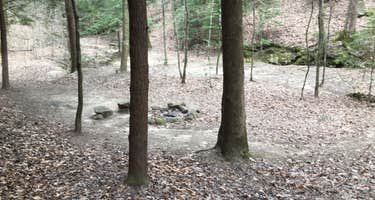 Sipsey Wilderness Backcountry Site (Trail 207 Site B)
