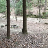 Review photo of Sipsey Wilderness Backcountry Site (Trail 207 Site B) by Asher K., May 23, 2019