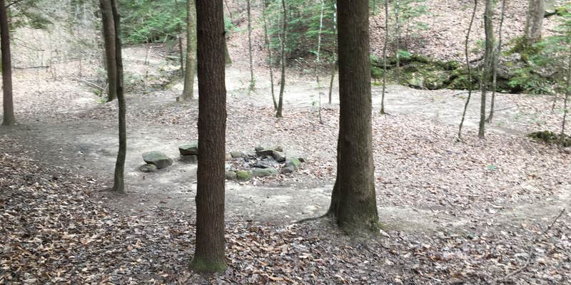 Camper submitted image from Sipsey Wilderness Backcountry Site (Trail 207 Site B)