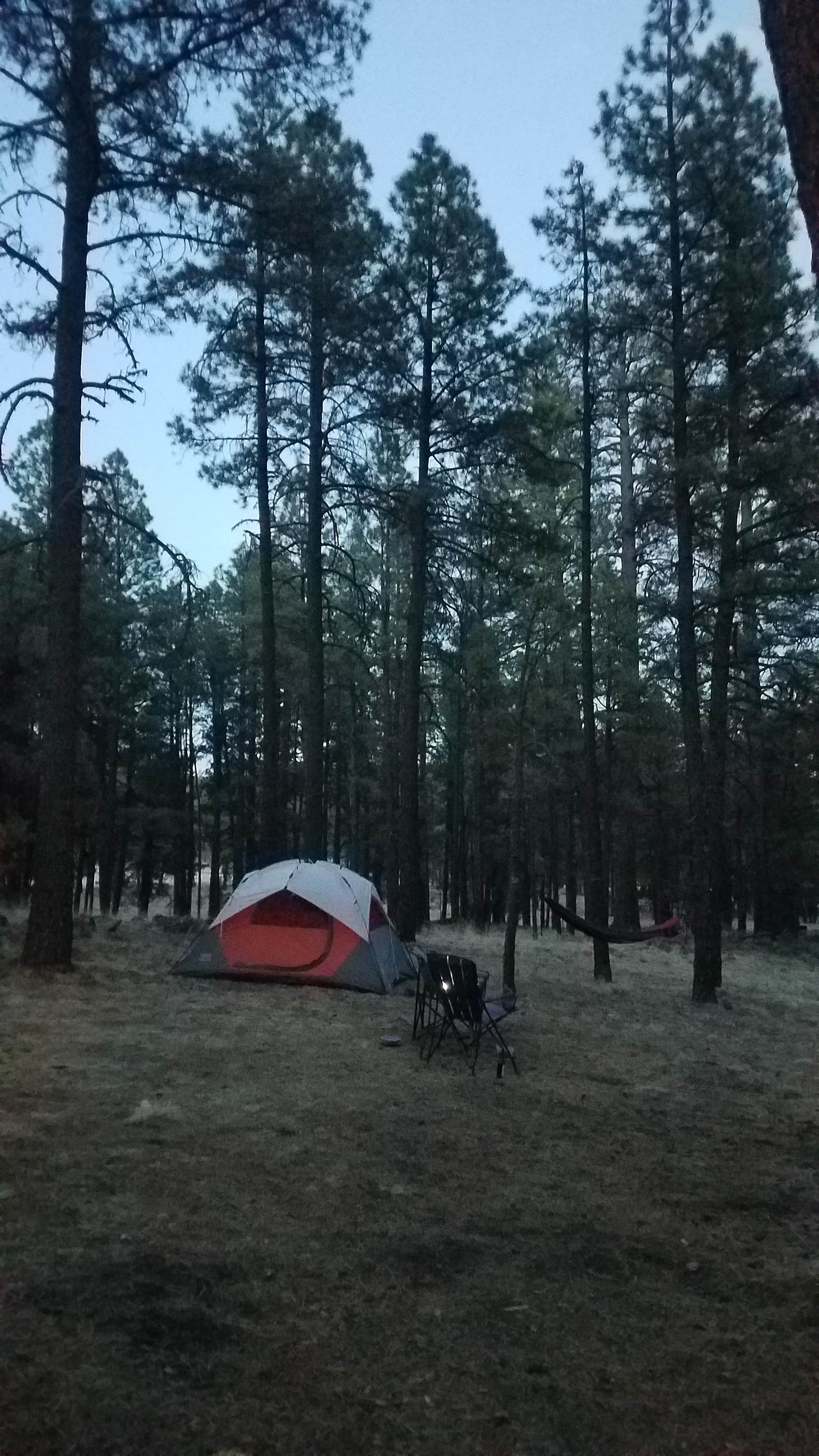 Escape to Serenity: Luna Lake Campground, Arizona
