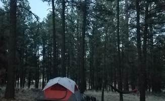 Nansi O.'s photo at Luna Lake near Reserve, NM