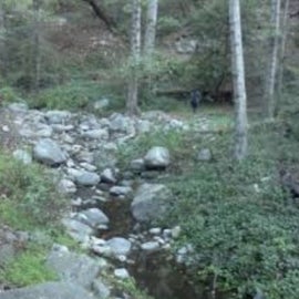 Creek near campsite