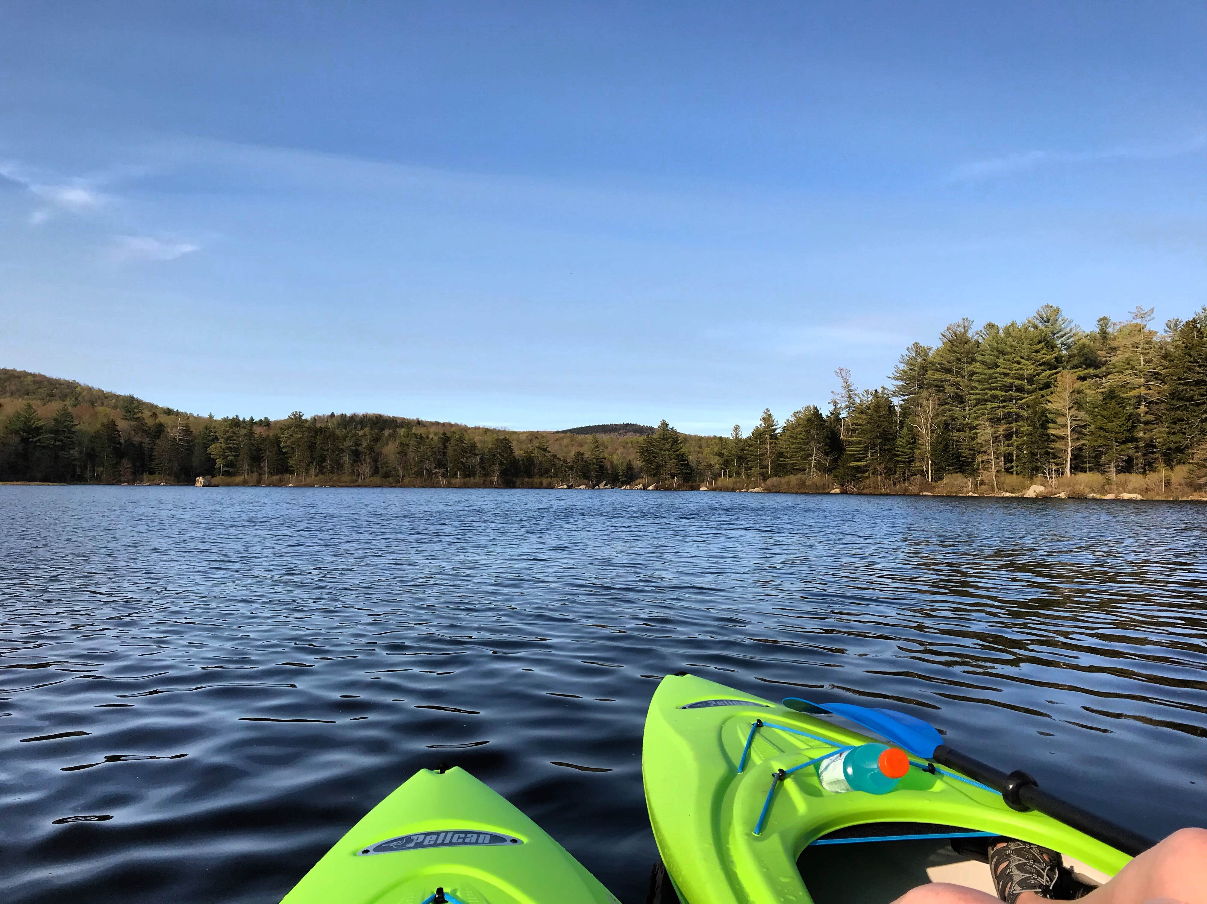 Camper submitted image from Pillsbury State Park Campground - 4