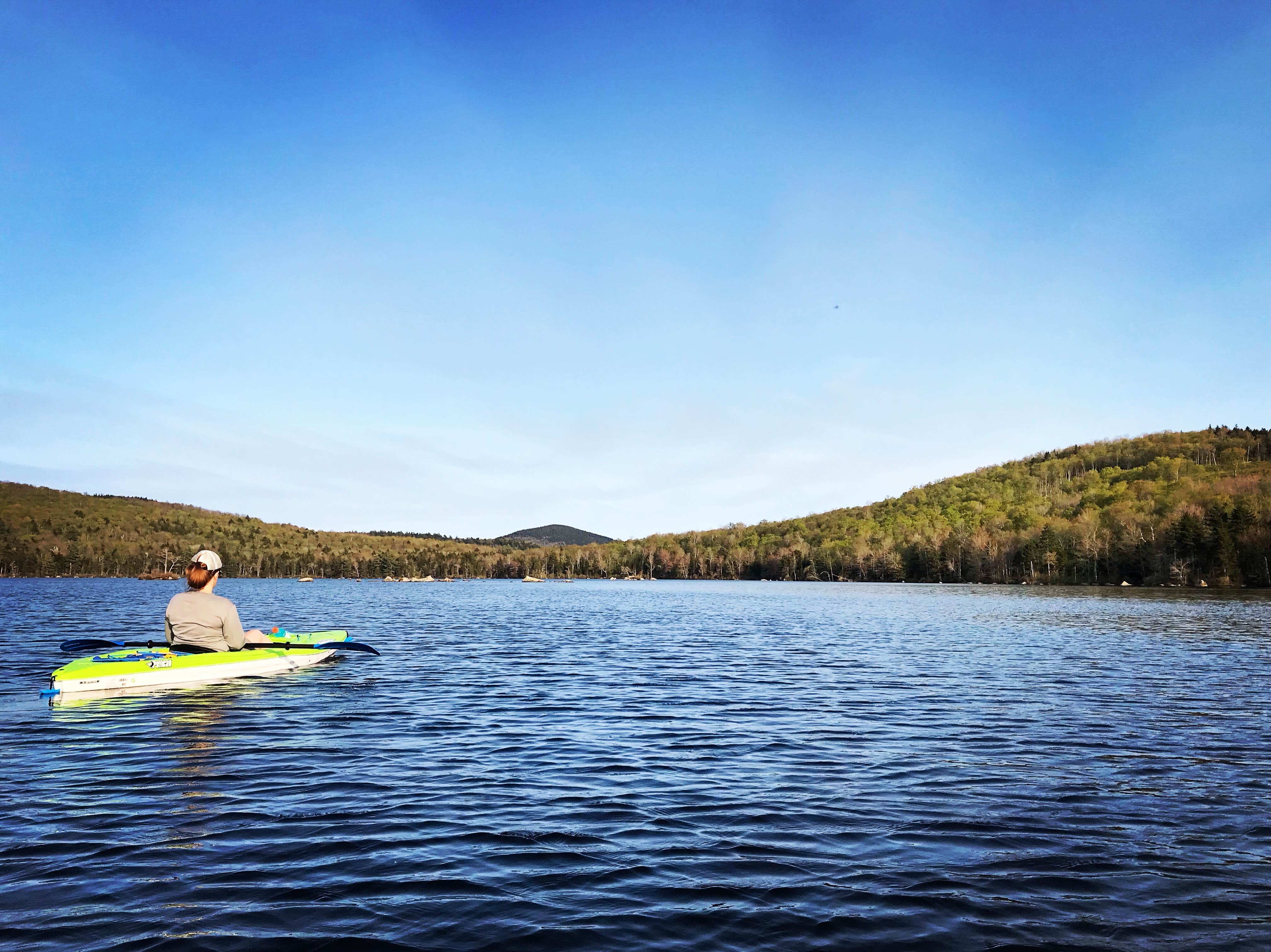 Camper submitted image from Pillsbury State Park Campground - 2