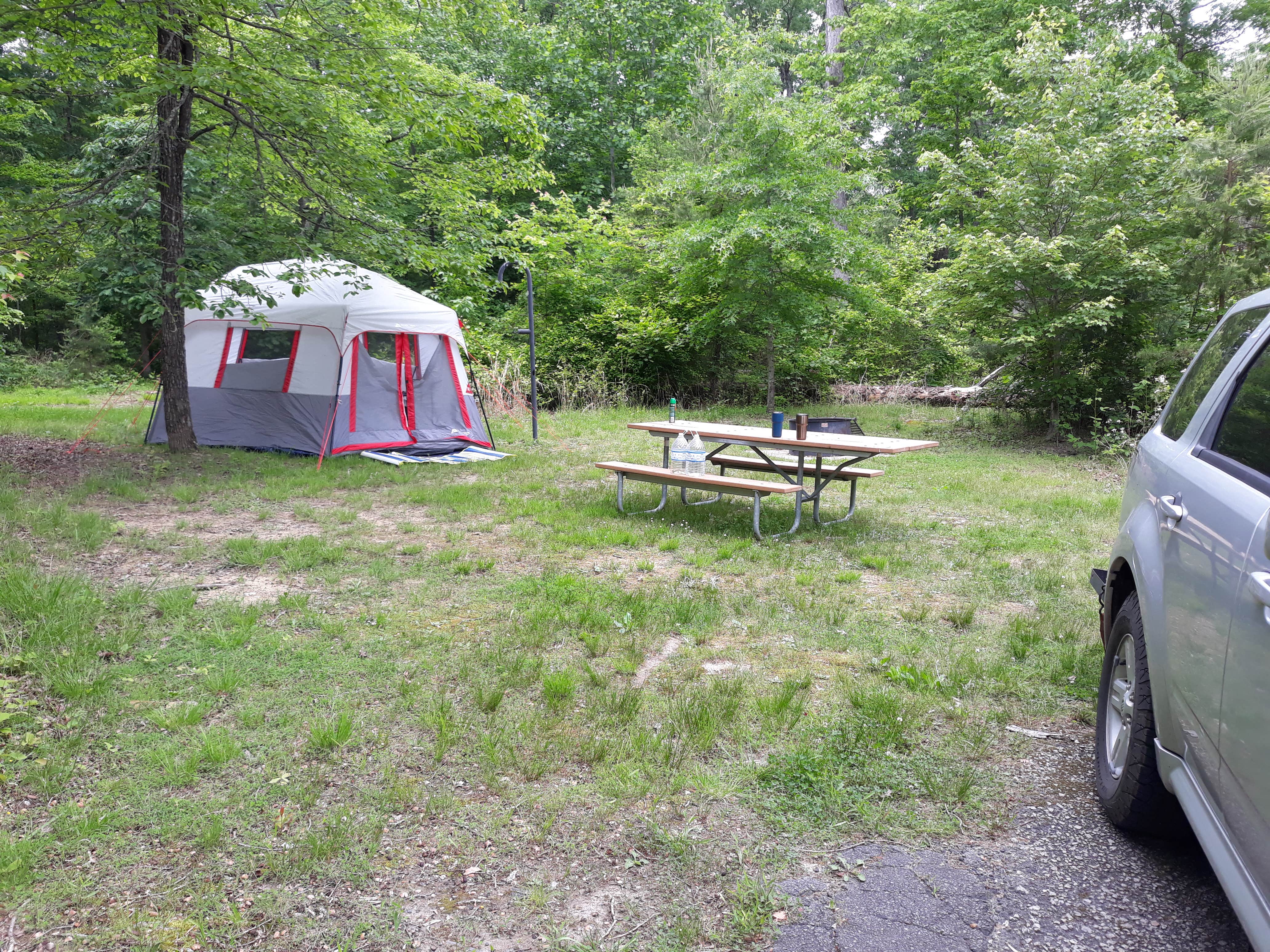 Tracy R.'s photo at Oak Ridge Campground — Prince William Forest Park near Fort Washington Park