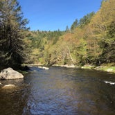 Review photo of Jamaica State Park Campground by Chris S., May 23, 2019