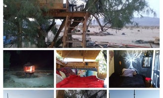 Camping near Sunset views wonder valley: Desert Camp Festivities, Twentynine Palms, California