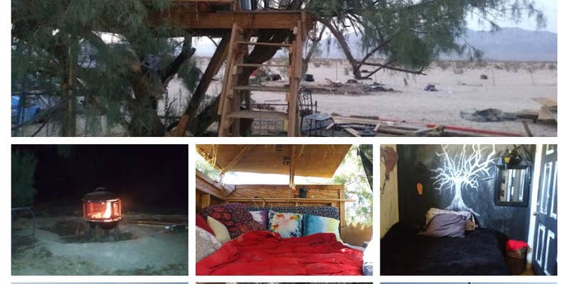 Camper submitted image from Desert Camp Festivities