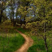 Review photo of William O'Brien State Park Campground by GoWhereYouAreDraw N., May 5, 2019