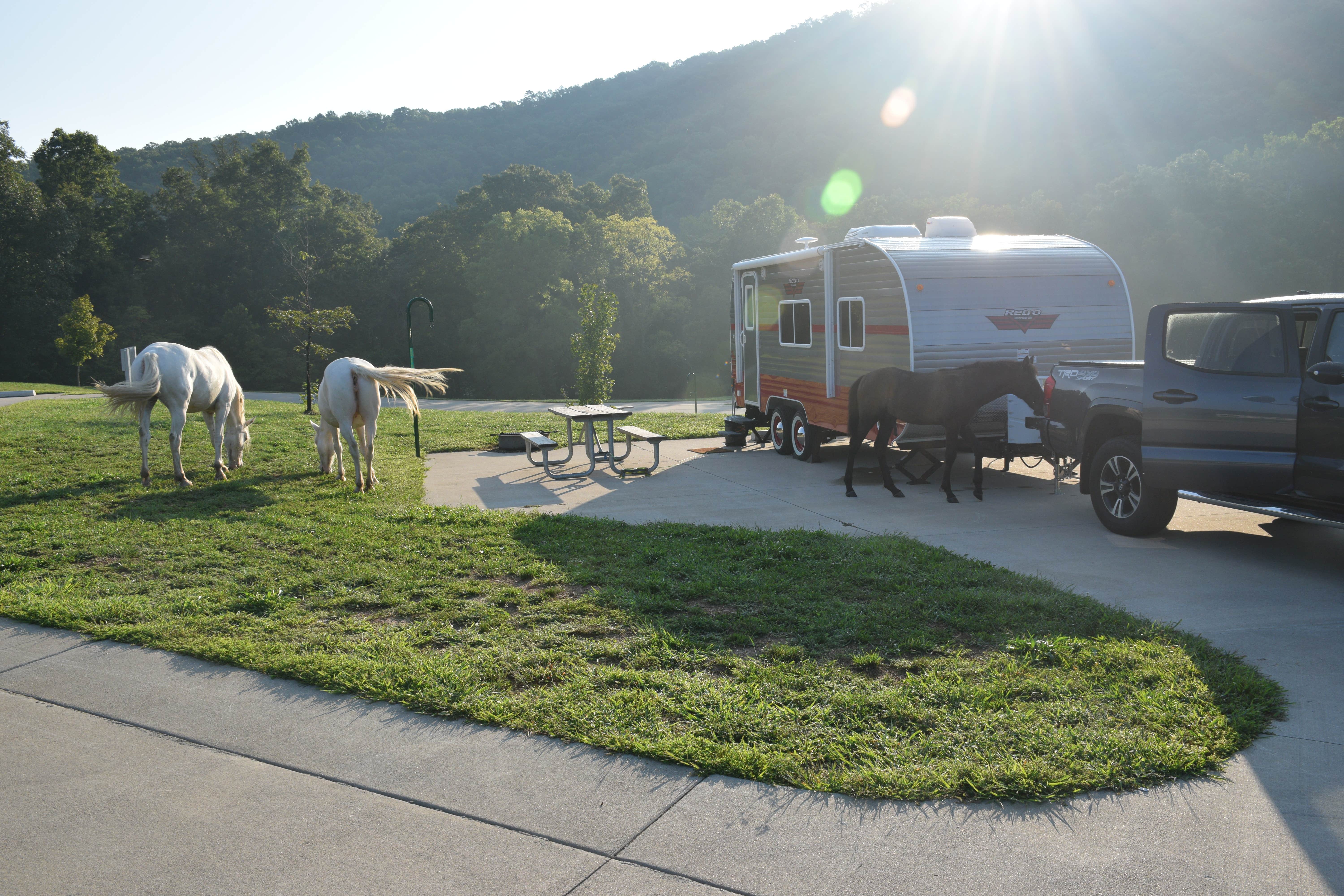 Judith B.'s photo of camping with a horse at Timbuktu Campground — Echo Bluff State Park near Pilot Knob, MO