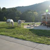 Review photo of Timbuktu Campground — Echo Bluff State Park by Judith B., May 23, 2019