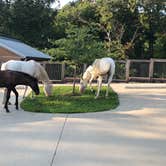 Review photo of Timbuktu Campground — Echo Bluff State Park by Judith B., May 23, 2019