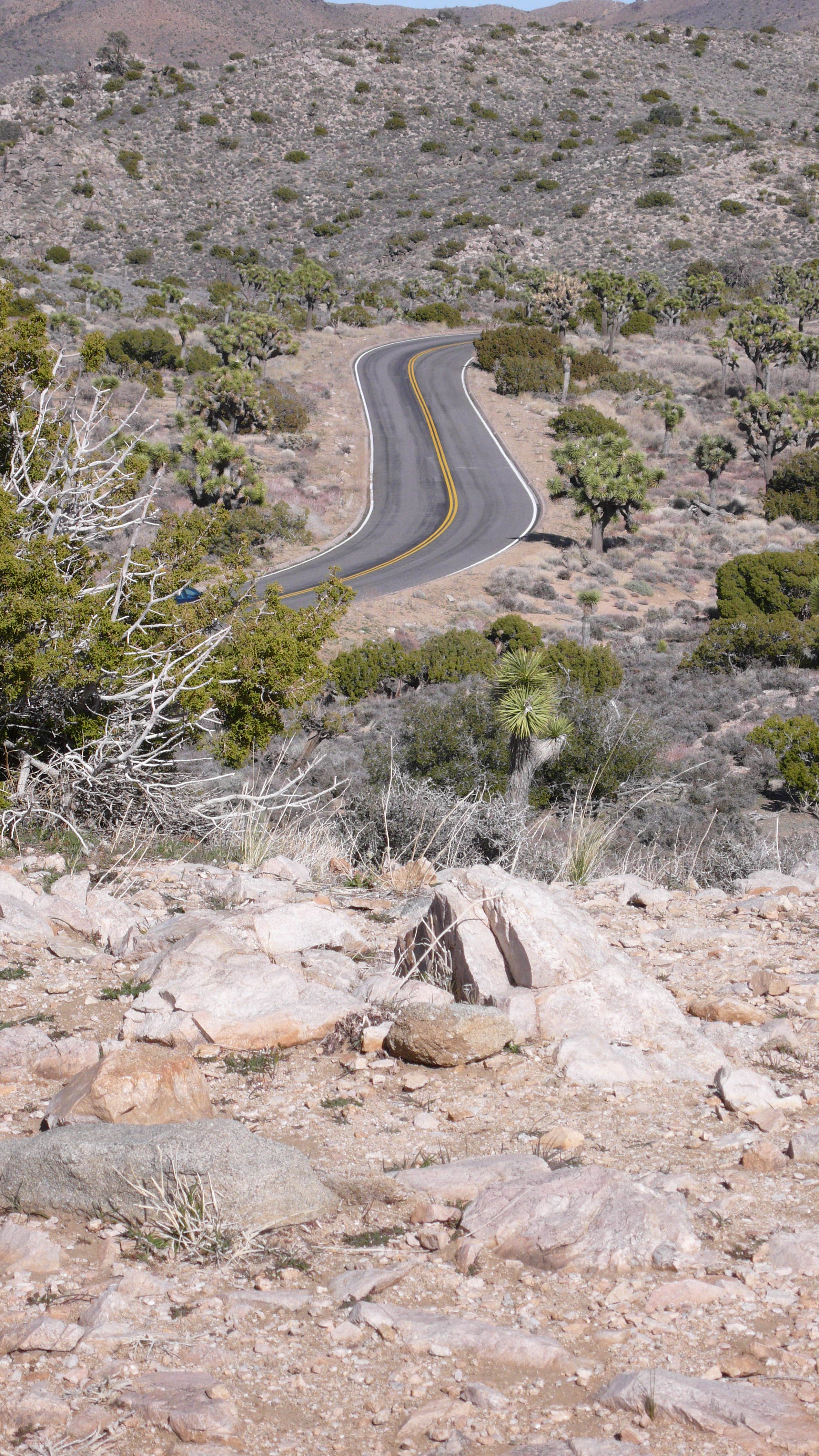 Camper submitted image from Indian Cove Campground — Joshua Tree National Park - 4
