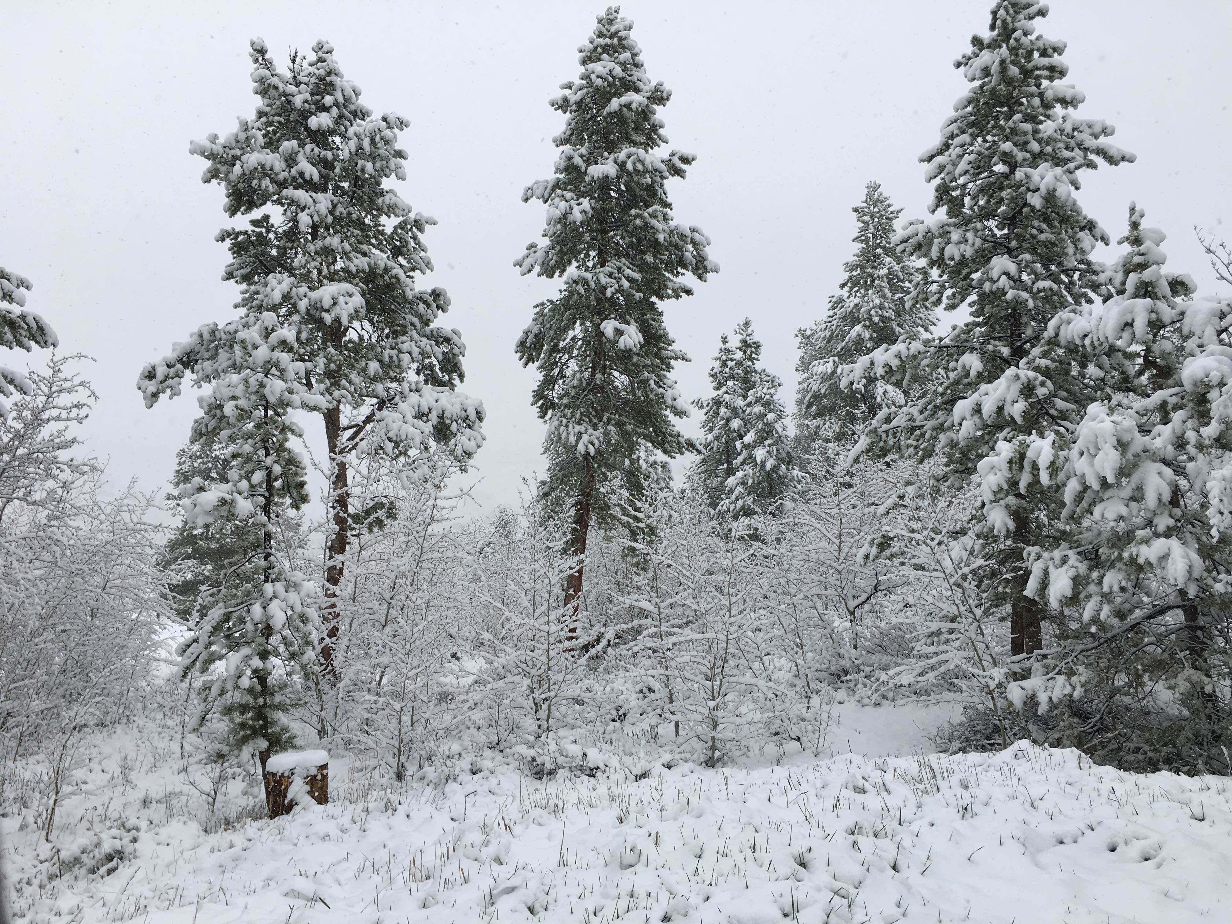 Winter at Willow Creek Reservoir