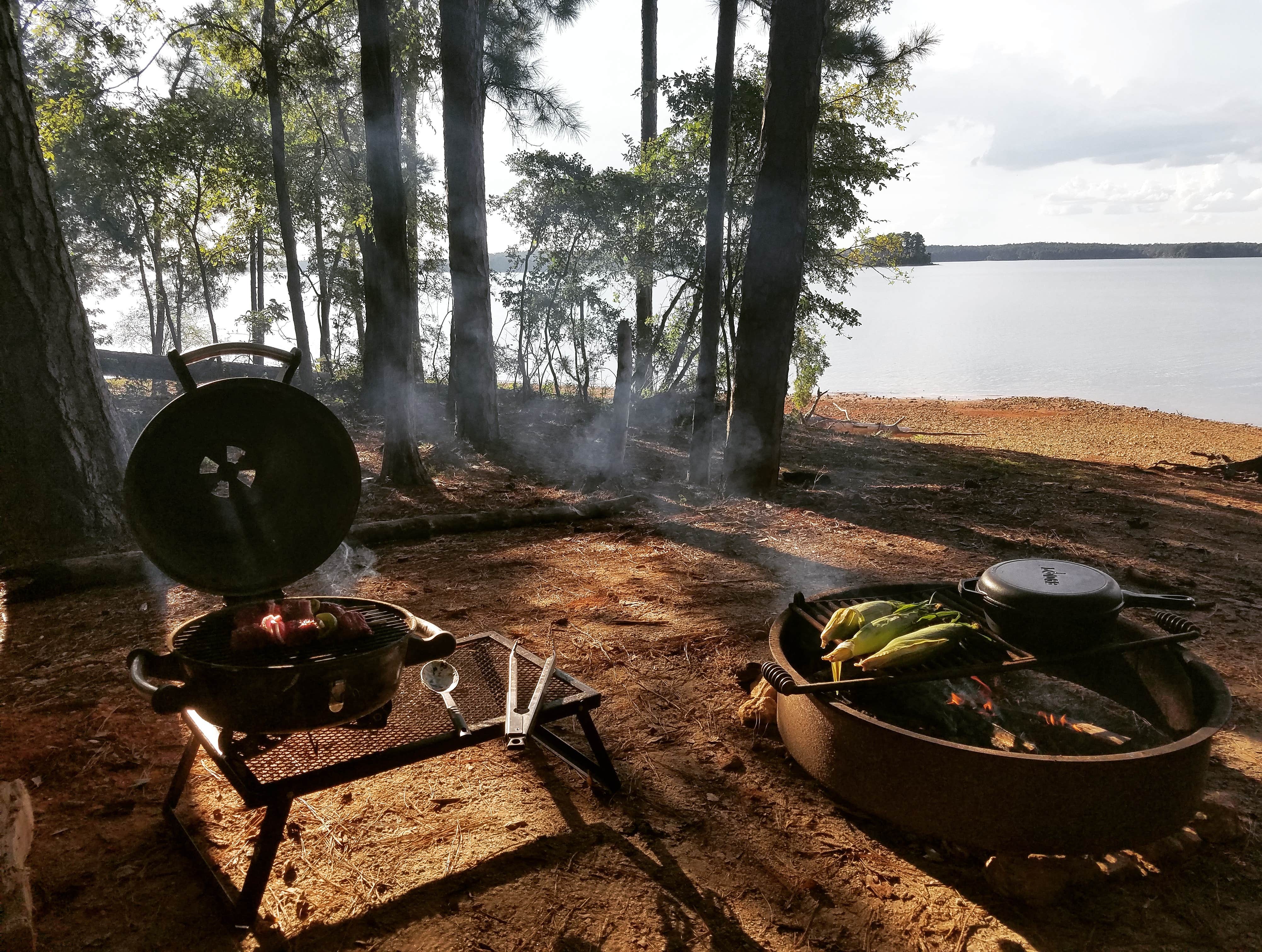 Camper submitted image from Hamilton Branch State Park Campground - 4