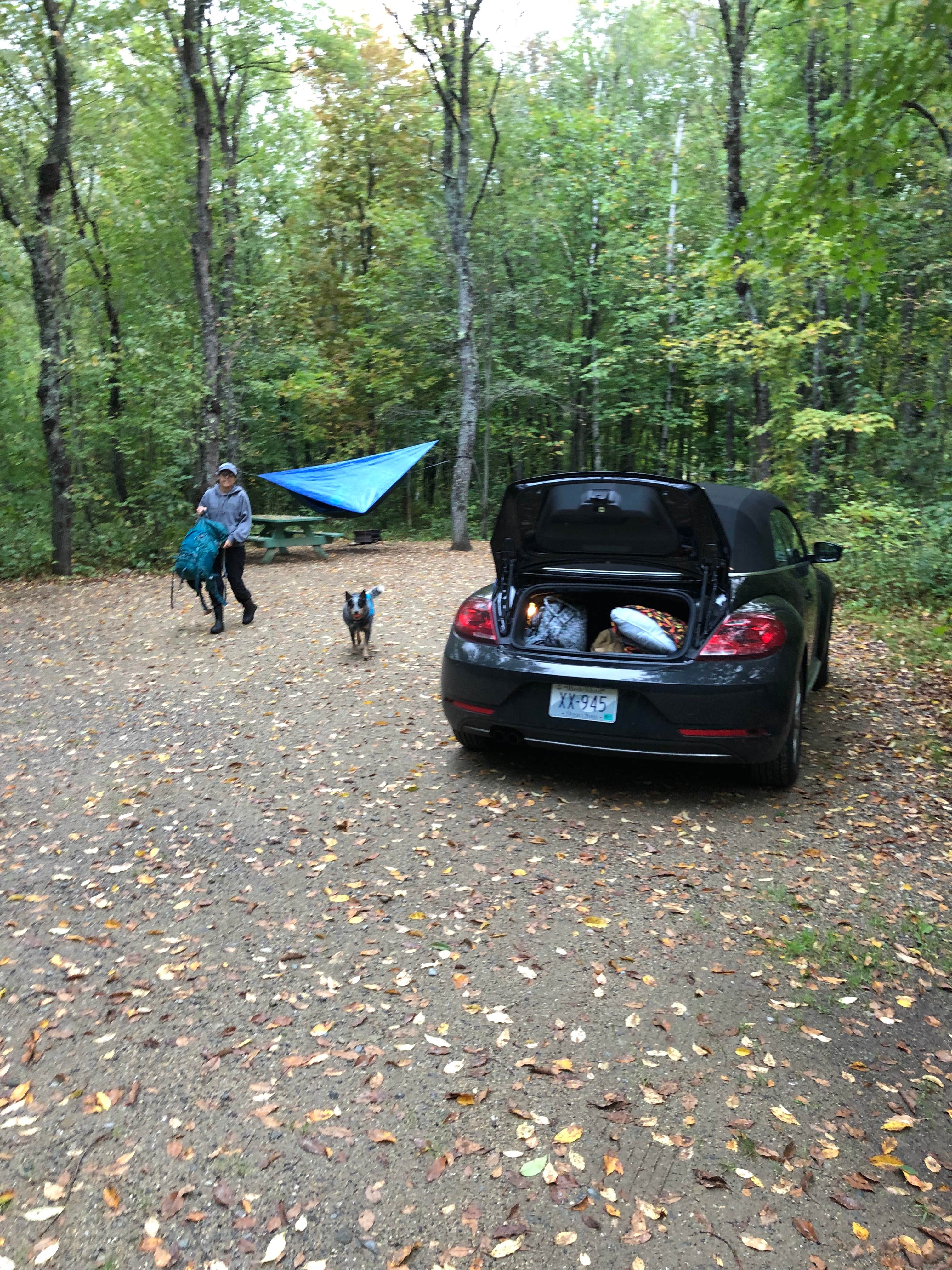 Camper submitted image from Grafton Notch Campground - 4