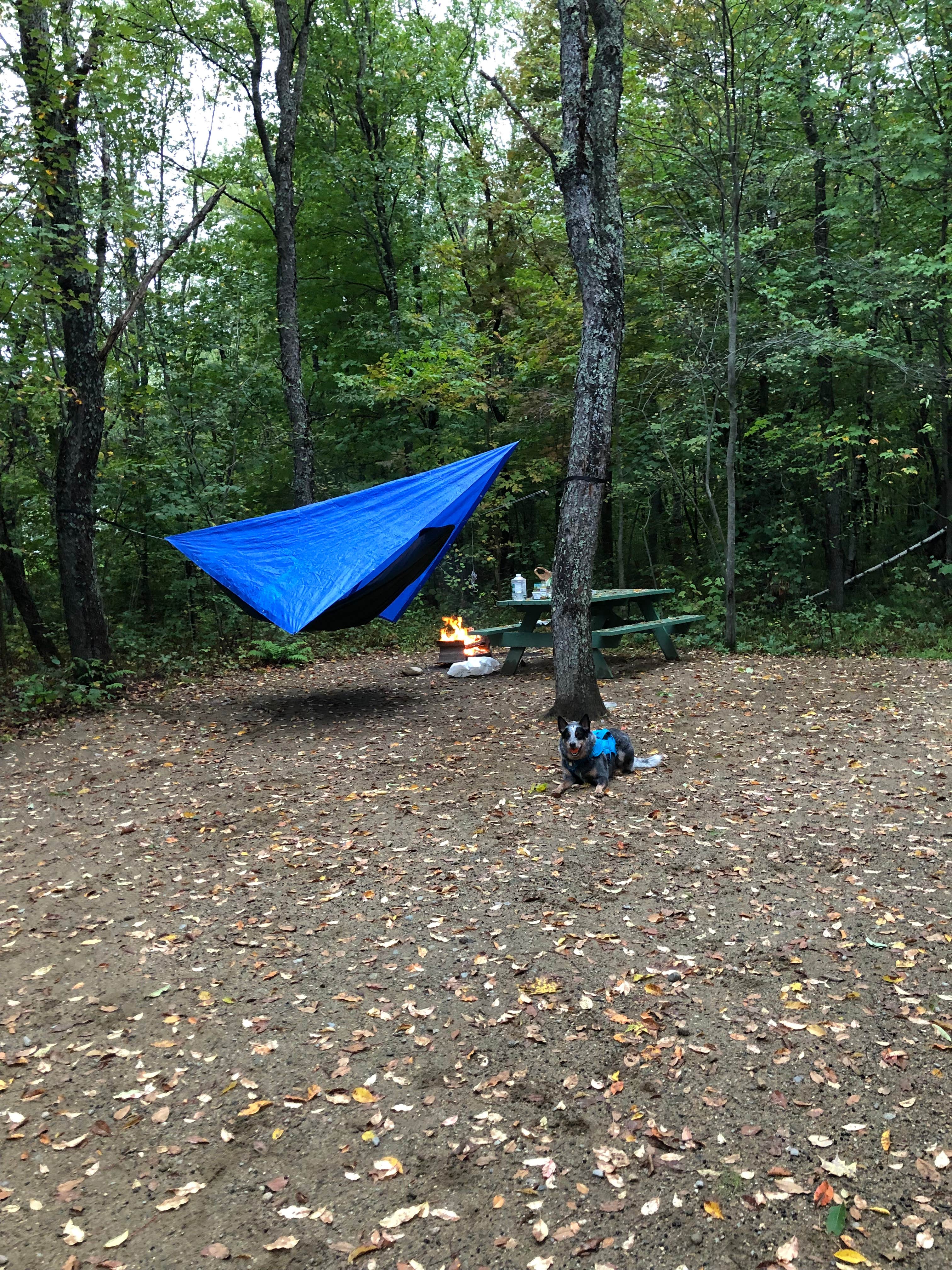 Camper submitted image from Grafton Notch Campground - 3