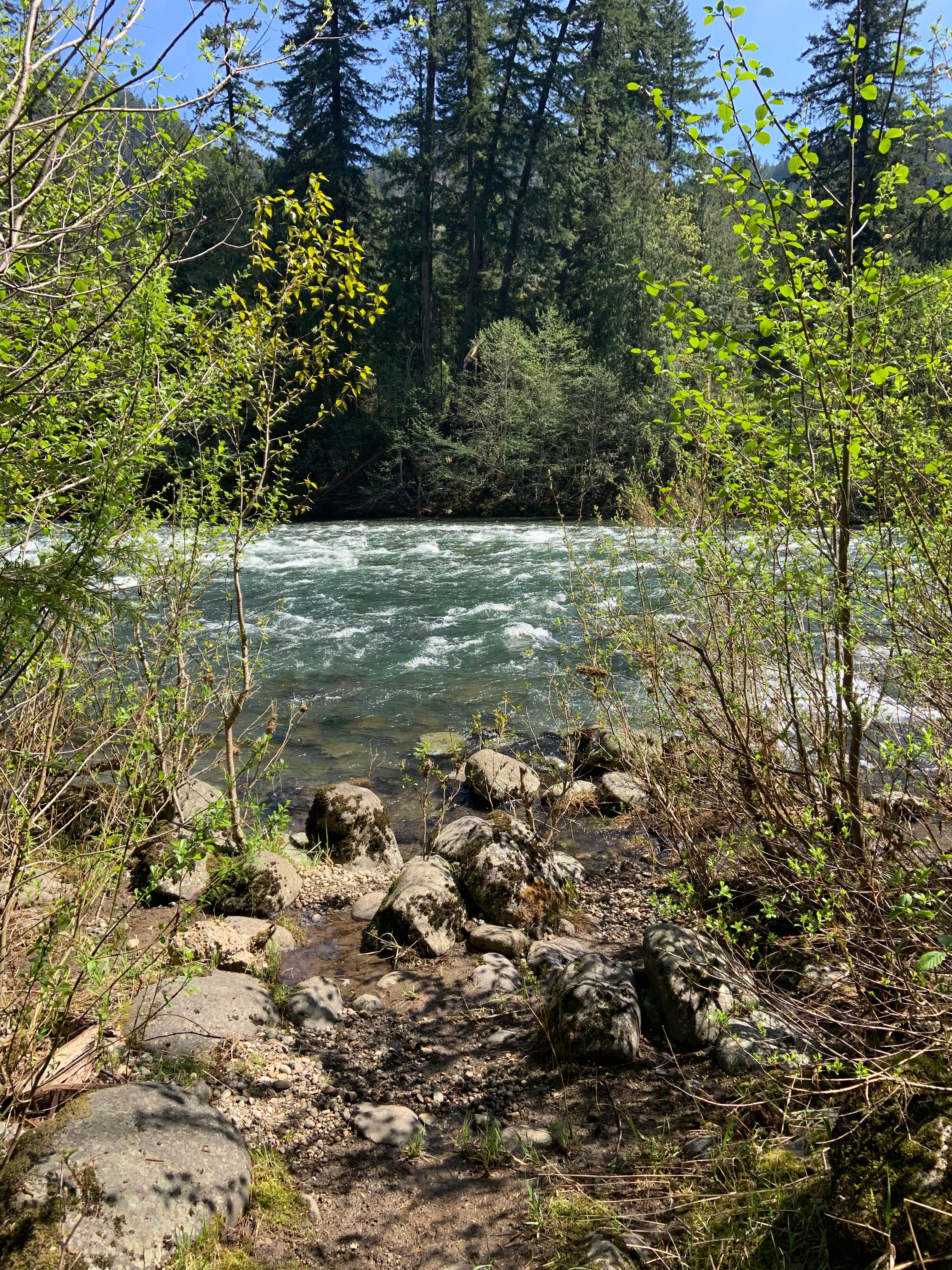 Water