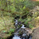 Review photo of Mount Hood National Forest Armstrong Campground - TEMP CLOSED FOR FIRE by Amy Z., May 23, 2019