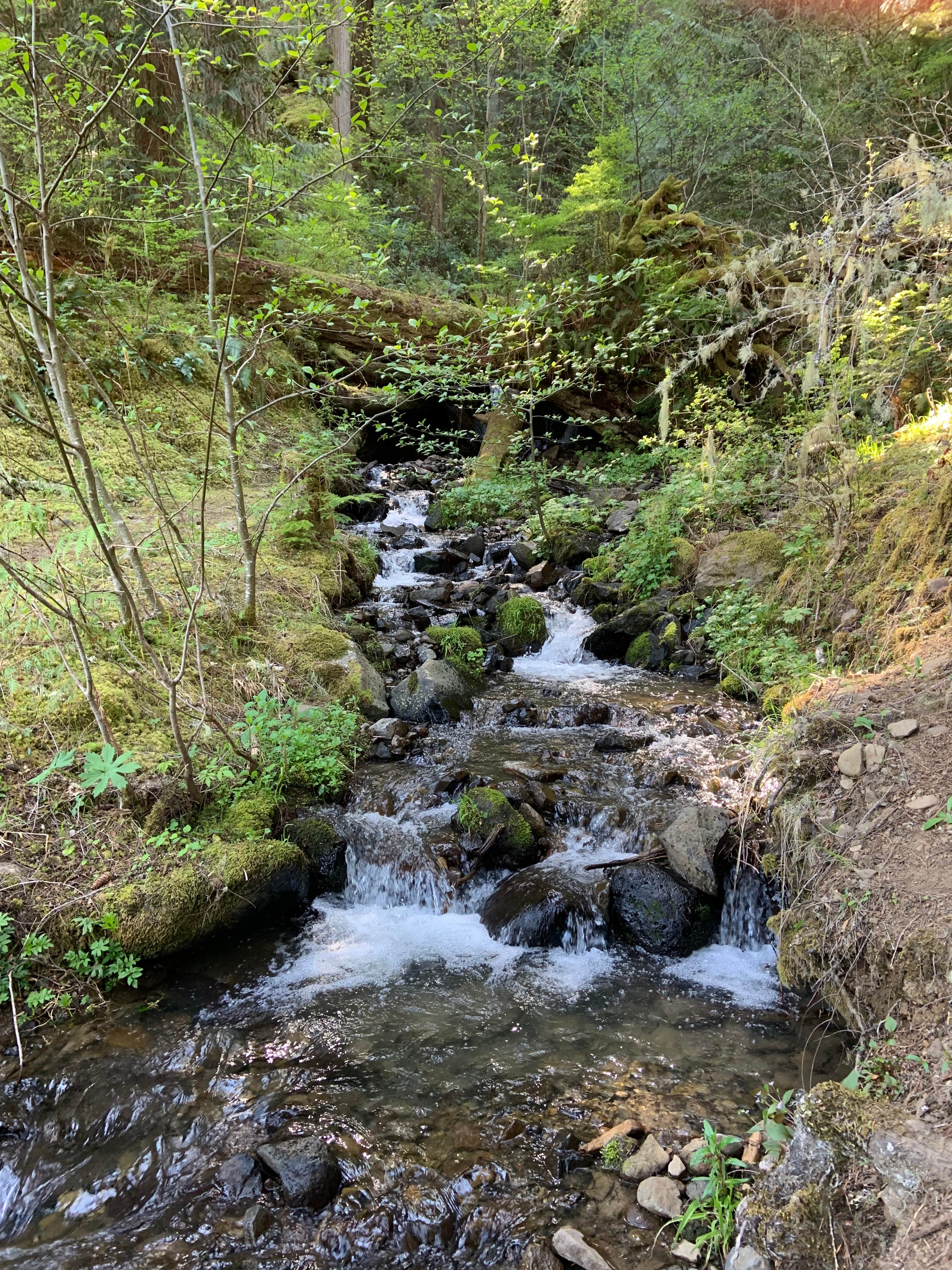Nature
