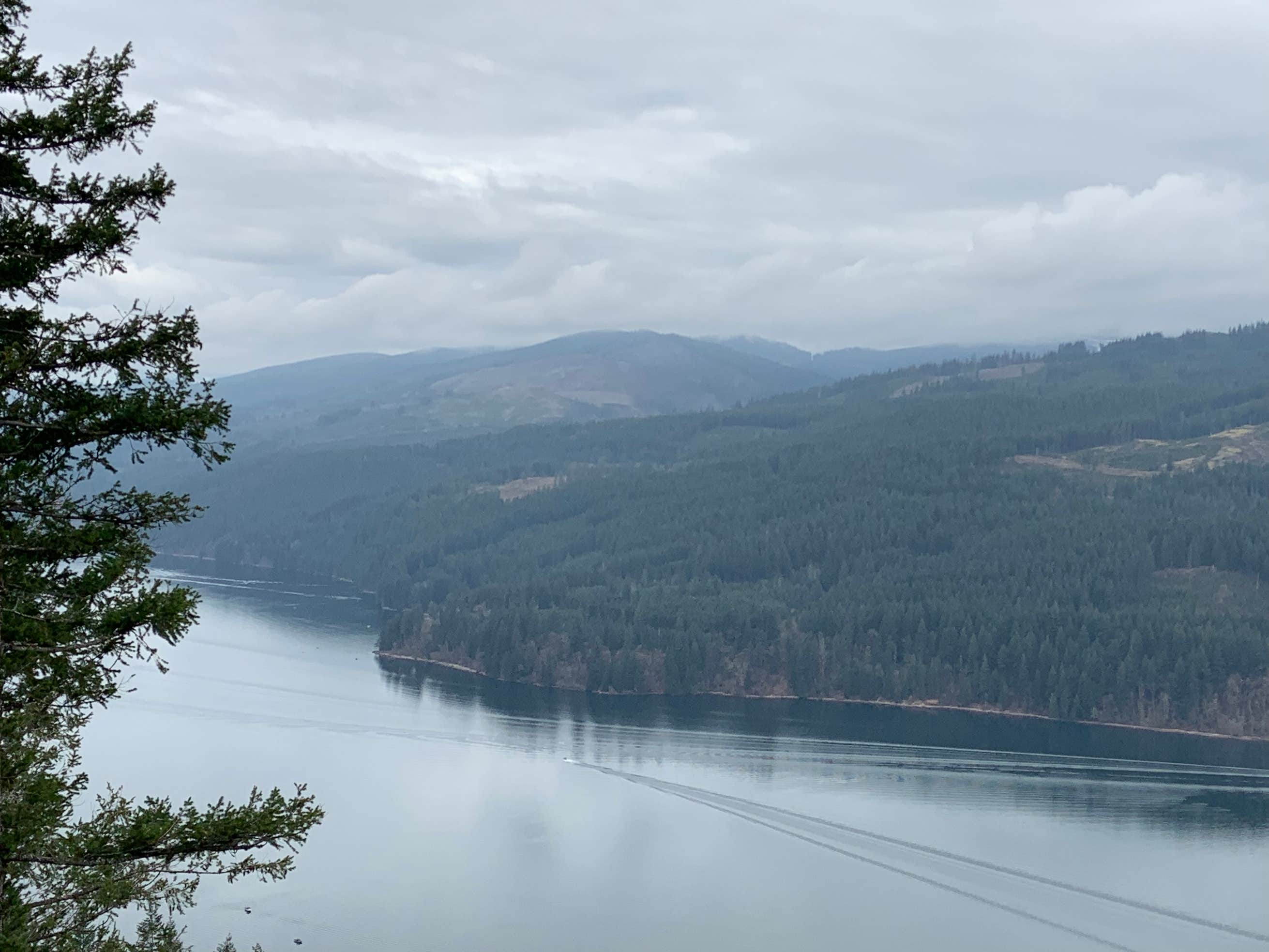 Lake Merwin Camper's Hideaway The Dyrt