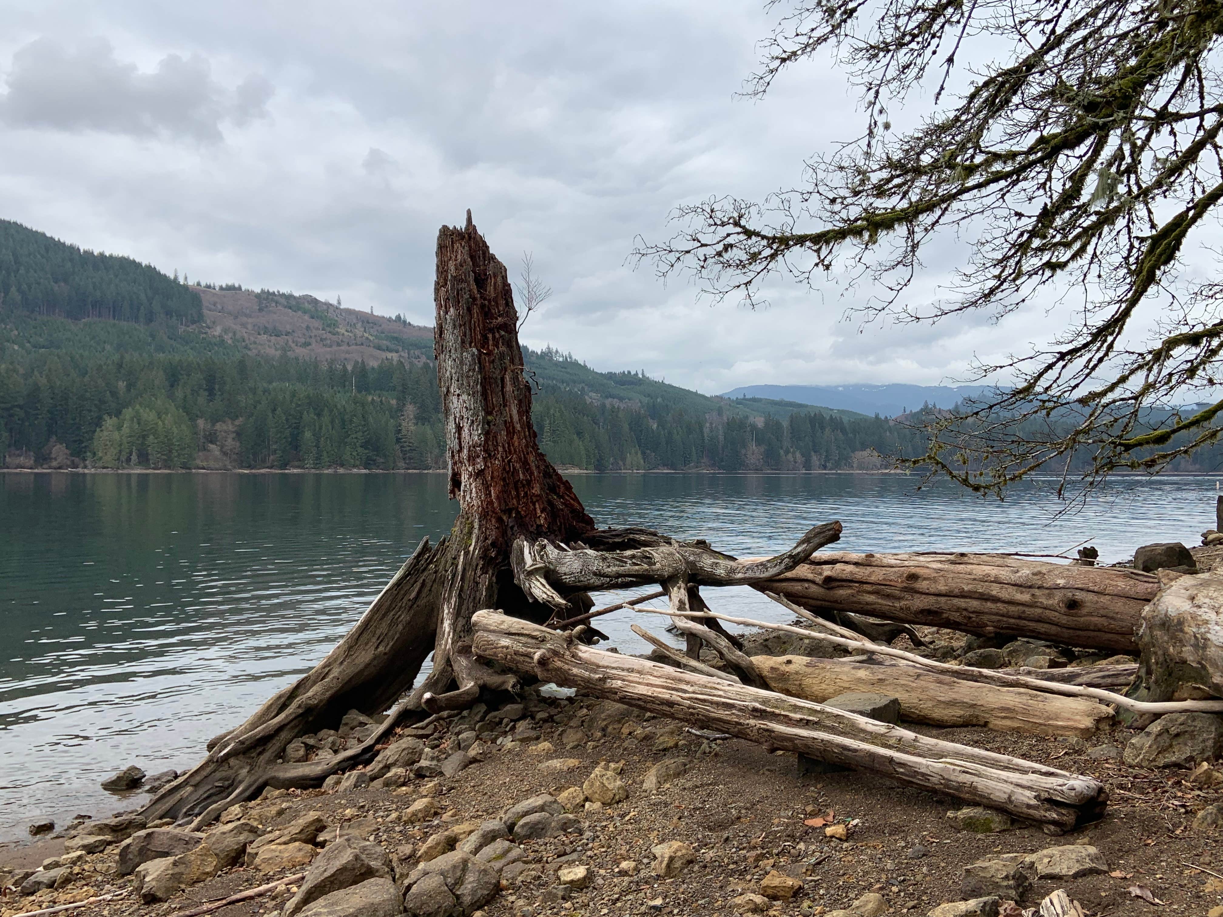 Camper-submitted photo at Lake Merwin Camper's Hideaway (MEMBERS ONLY) near Woodland, WA