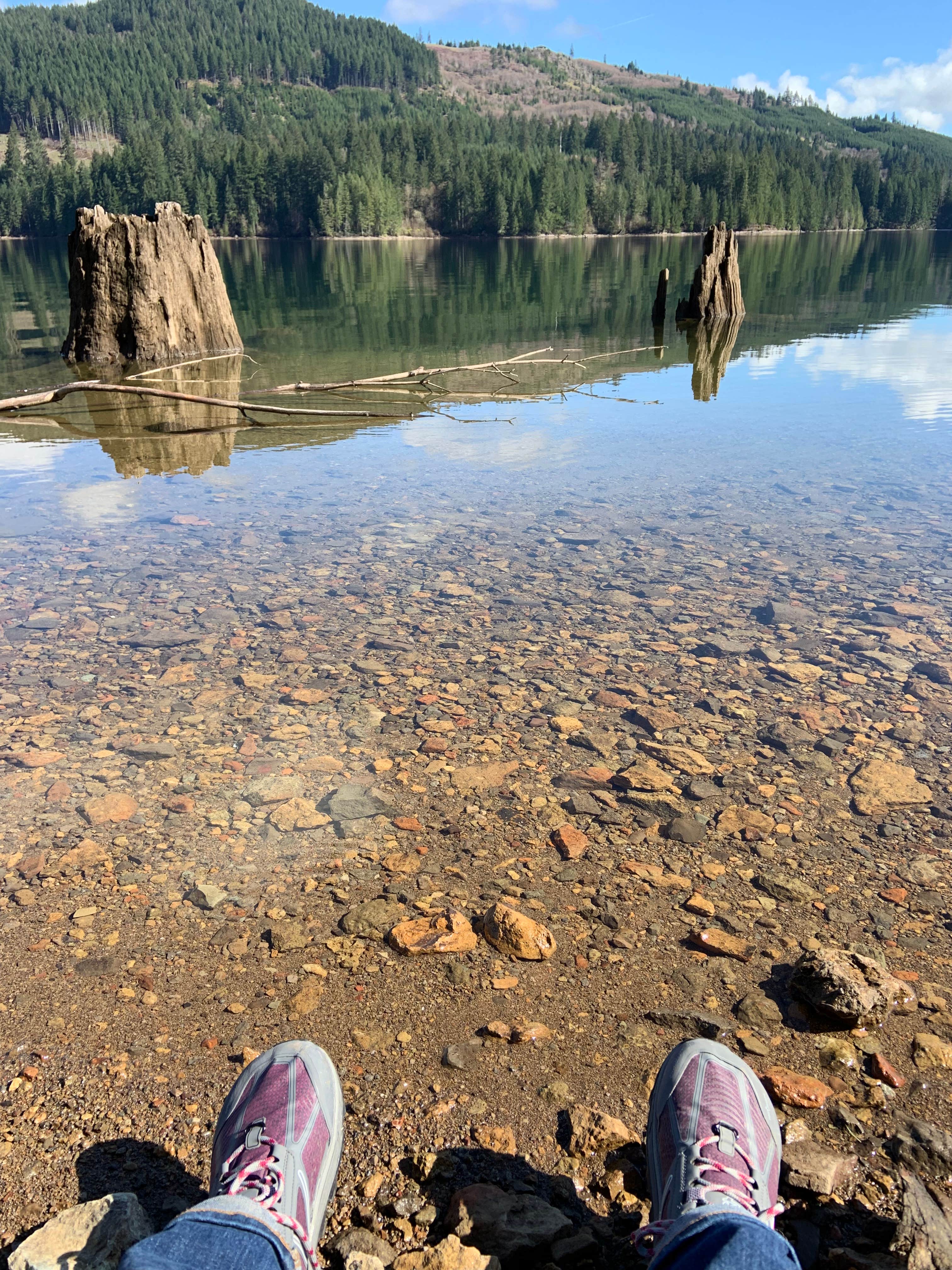 Camper-submitted photo at Lake Merwin Camper's Hideaway (MEMBERS ONLY) near Woodland, WA