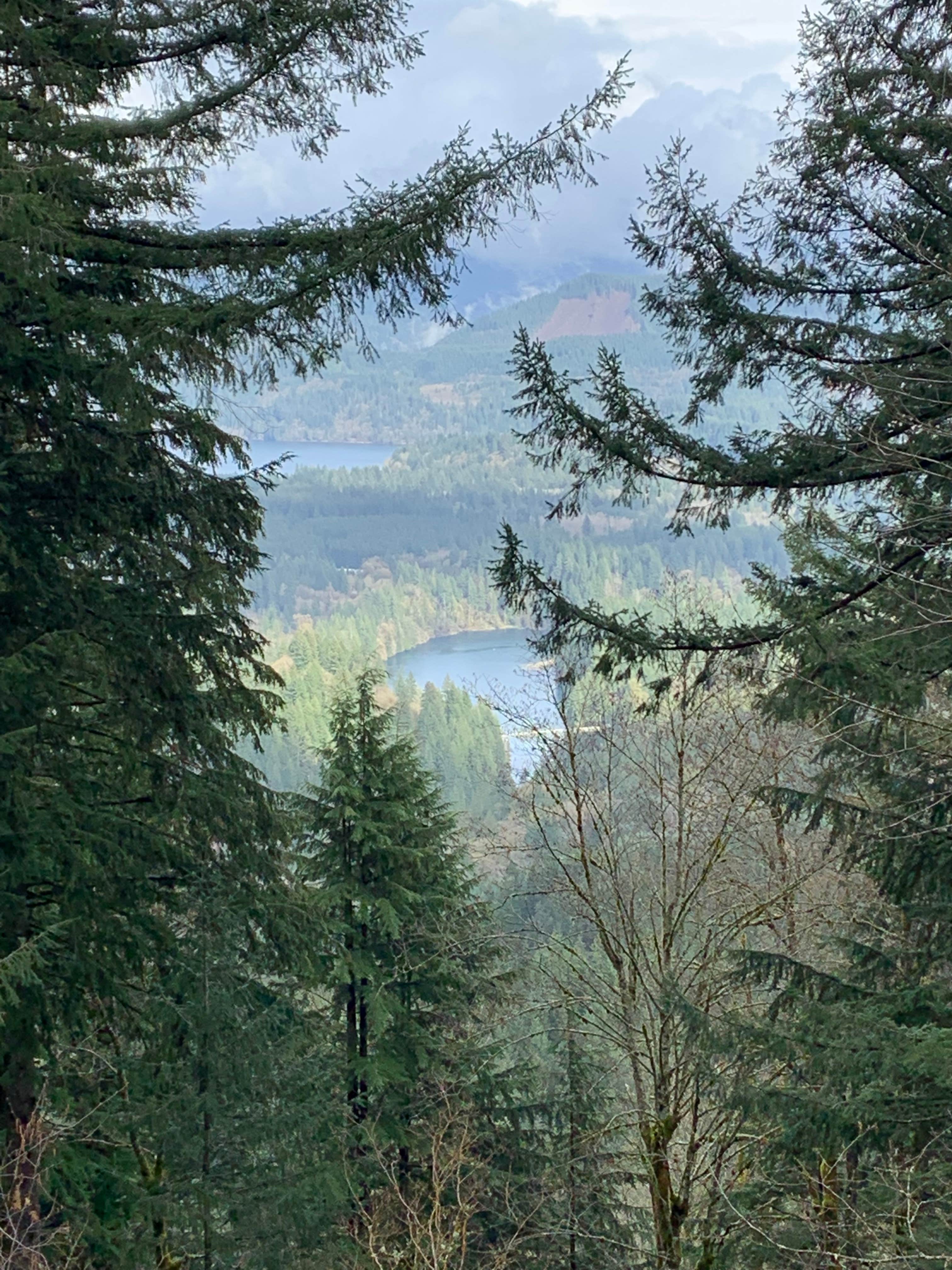 Camper-submitted photo at Lake Merwin Camper's Hideaway (MEMBERS ONLY) near Woodland, WA