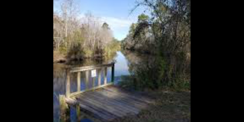 Camper submitted image from Wolf River Resort