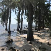 Review photo of Fontainebleau State Park Campground by Perrine C., May 23, 2019
