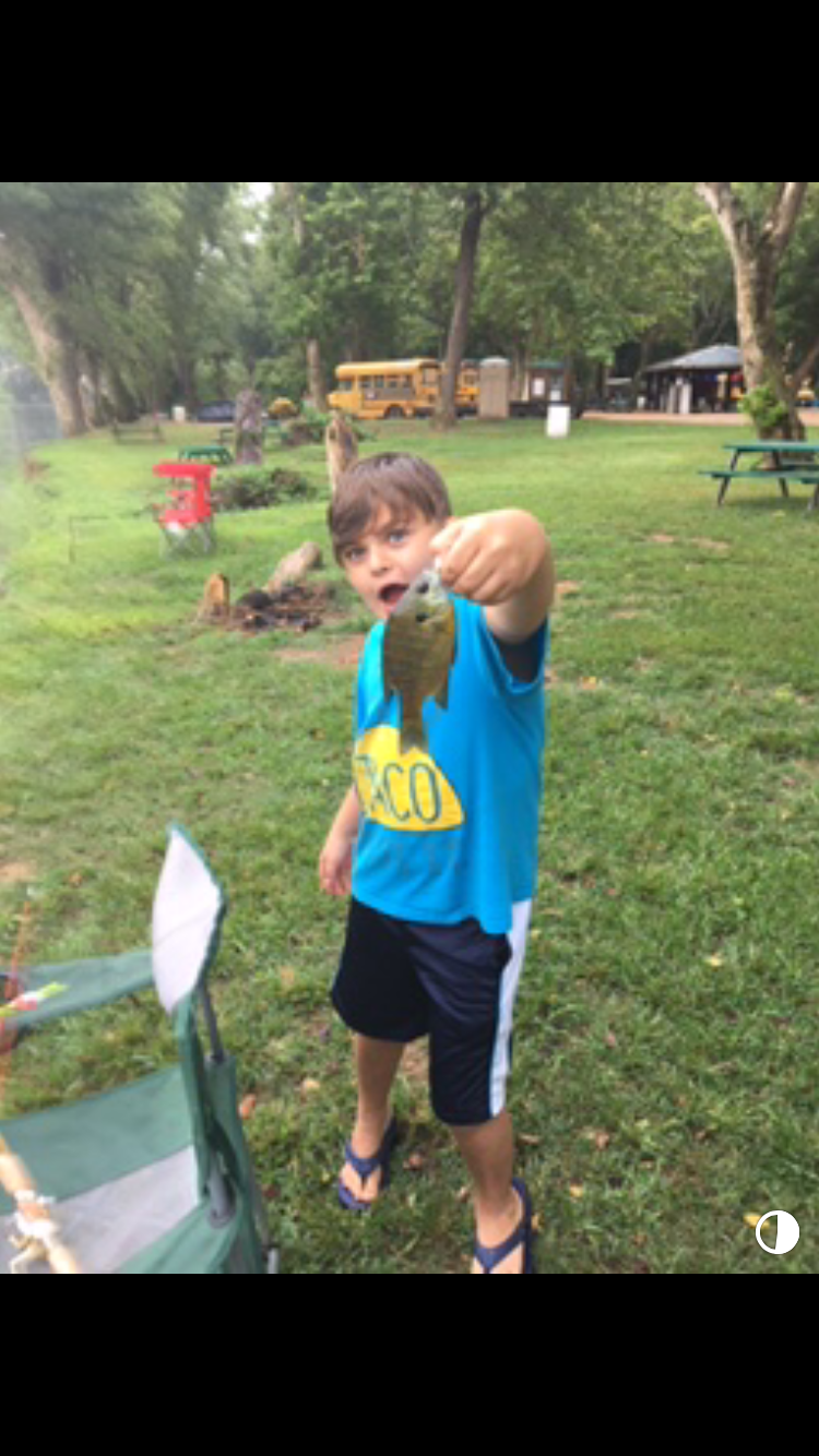 Camper-submitted photo at James River Outfitters near Everton, MO