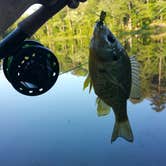 Review photo of Kings Mountain — Kings Mountain State Park by Patrick R., August 30, 2016