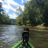 Review photo of Maple Springs Campground — Mammoth Cave National Park by Shelly S., July 30, 2016