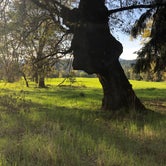 Review photo of Joseph H. Stewart County Park by Marcus V., May 23, 2019
