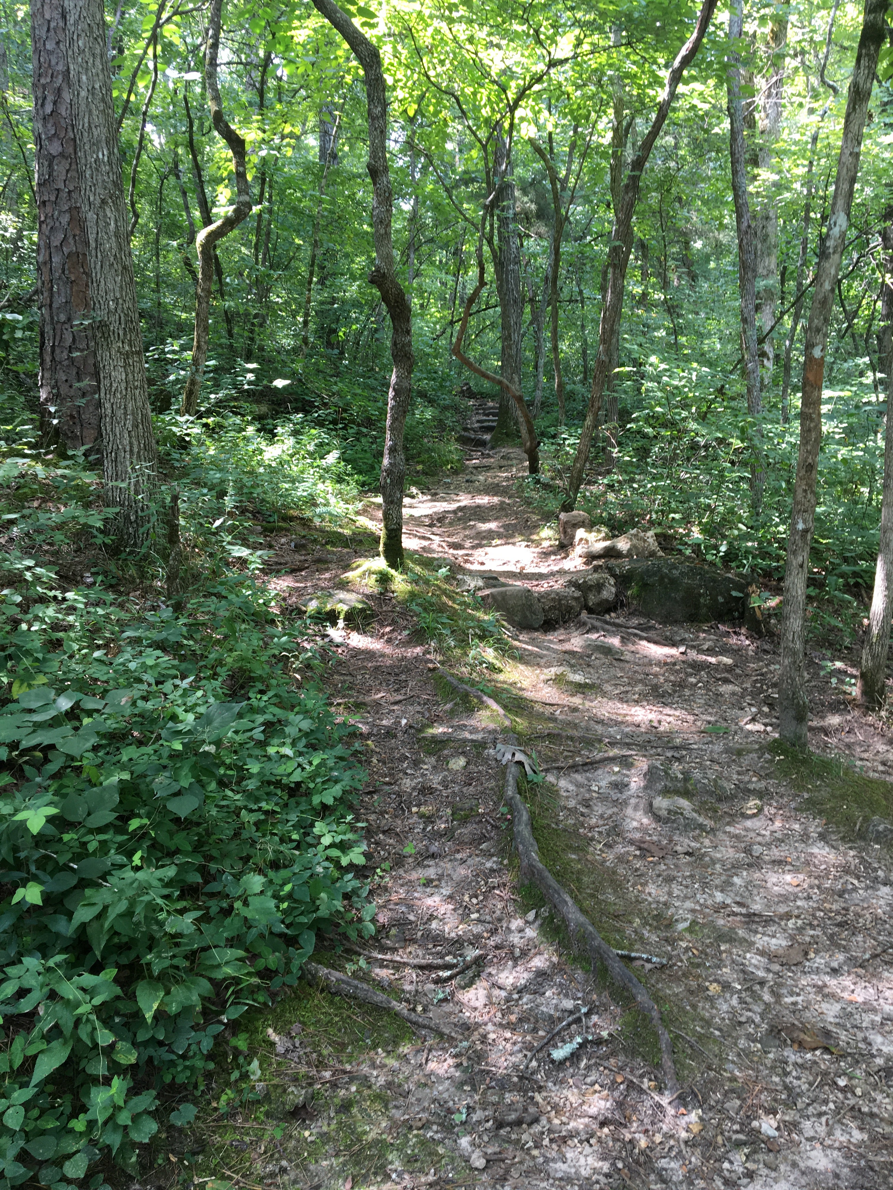 Camper submitted image from Powder Mill Backcountry Camping — Ozark National Scenic Riverway - 4