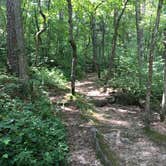 Review photo of Powder Mill Backcountry Camping — Ozark National Scenic Riverway by Shelly S., July 25, 2016