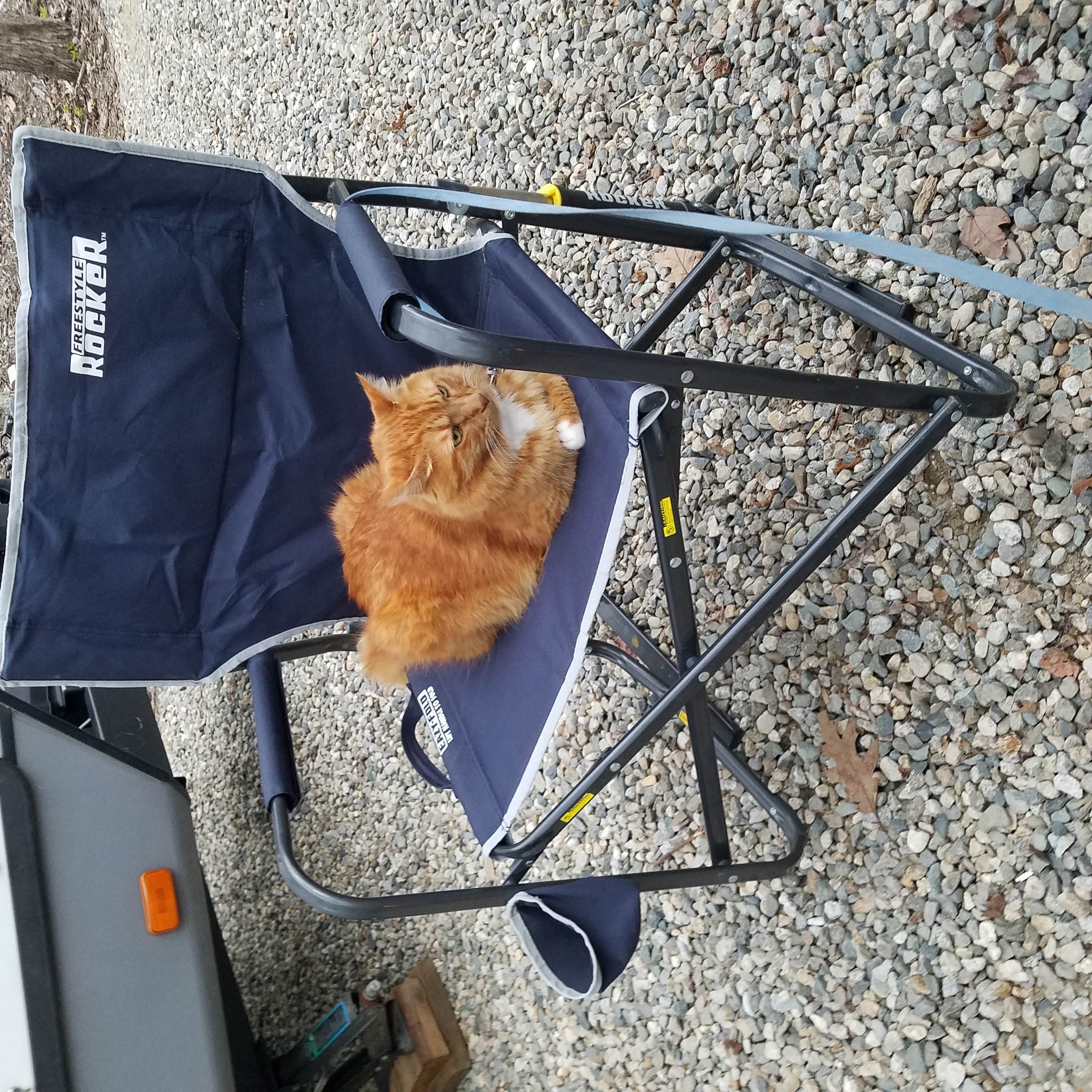 Camper-submitted photo at Sandy Pines Campground near York Beach, ME