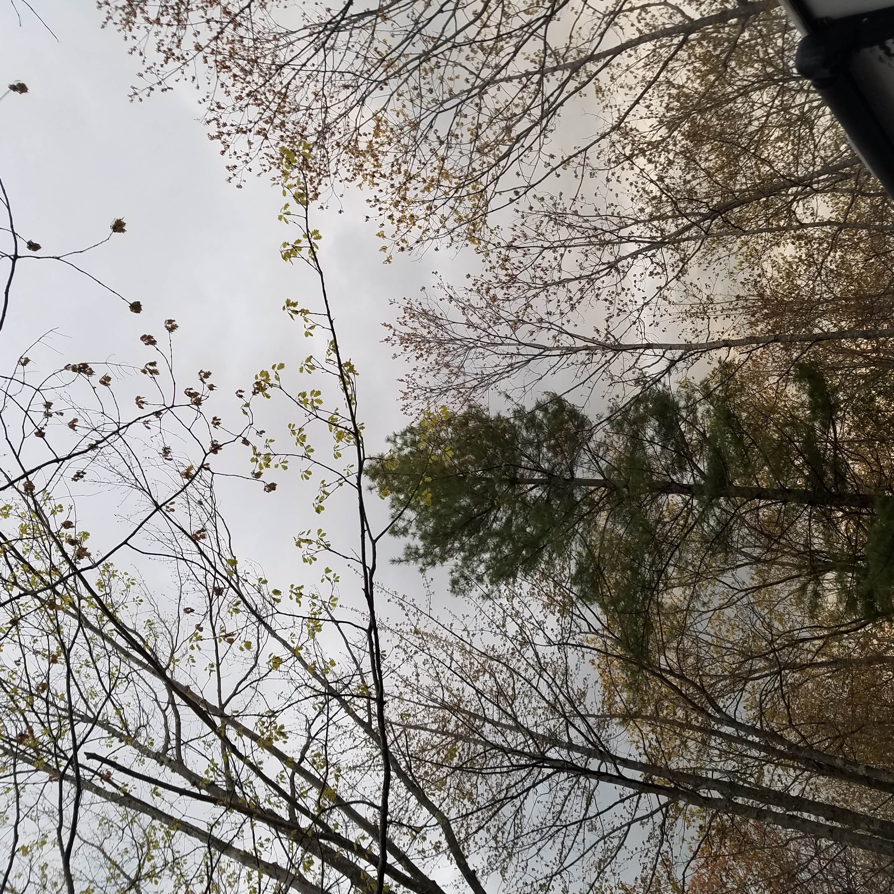 Camper-submitted photo at Sandy Pines Campground near York Beach, ME