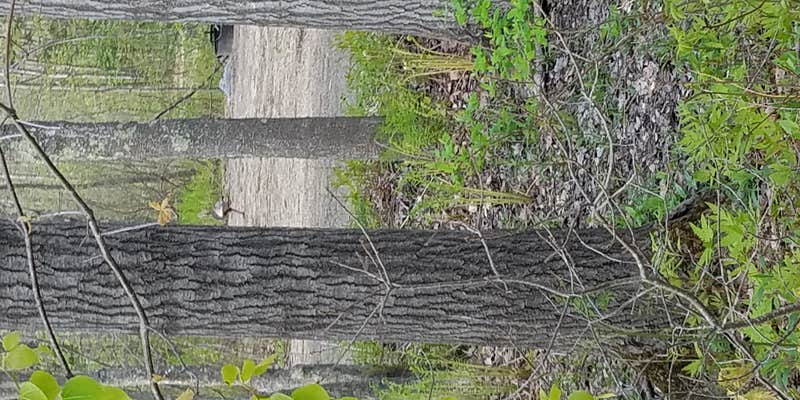 Camper submitted image from Sandy Pines Campground