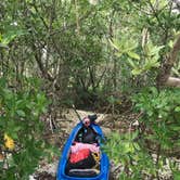 Review photo of Bow-tie Island Primitive Campsite by Dave V., May 24, 2019