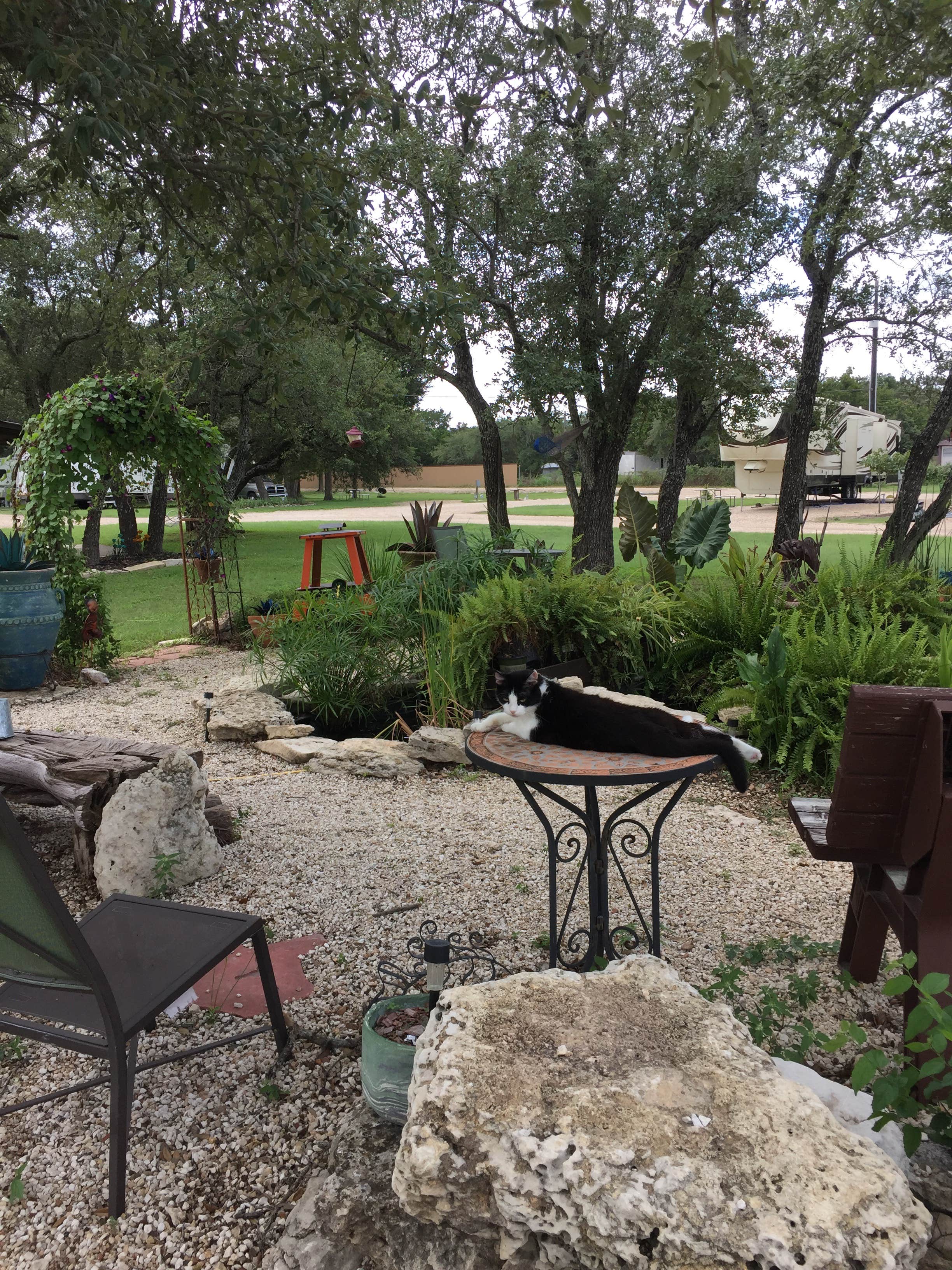 Camper-submitted photo at Our Friends Campground near Copperas Cove, TX