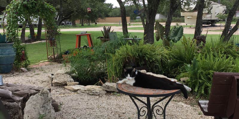 Camper submitted image from Our Friends Campground