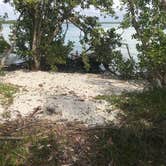 Review photo of Bow-tie Island Primitive Campsite by Dave V., May 24, 2019