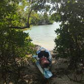 Review photo of Bow-tie Island Primitive Campsite by Dave V., May 24, 2019