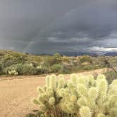 Review photo of McDowell Mountain Regional Park by Mike M., May 24, 2019